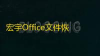 宏宇Office文件恢复向导